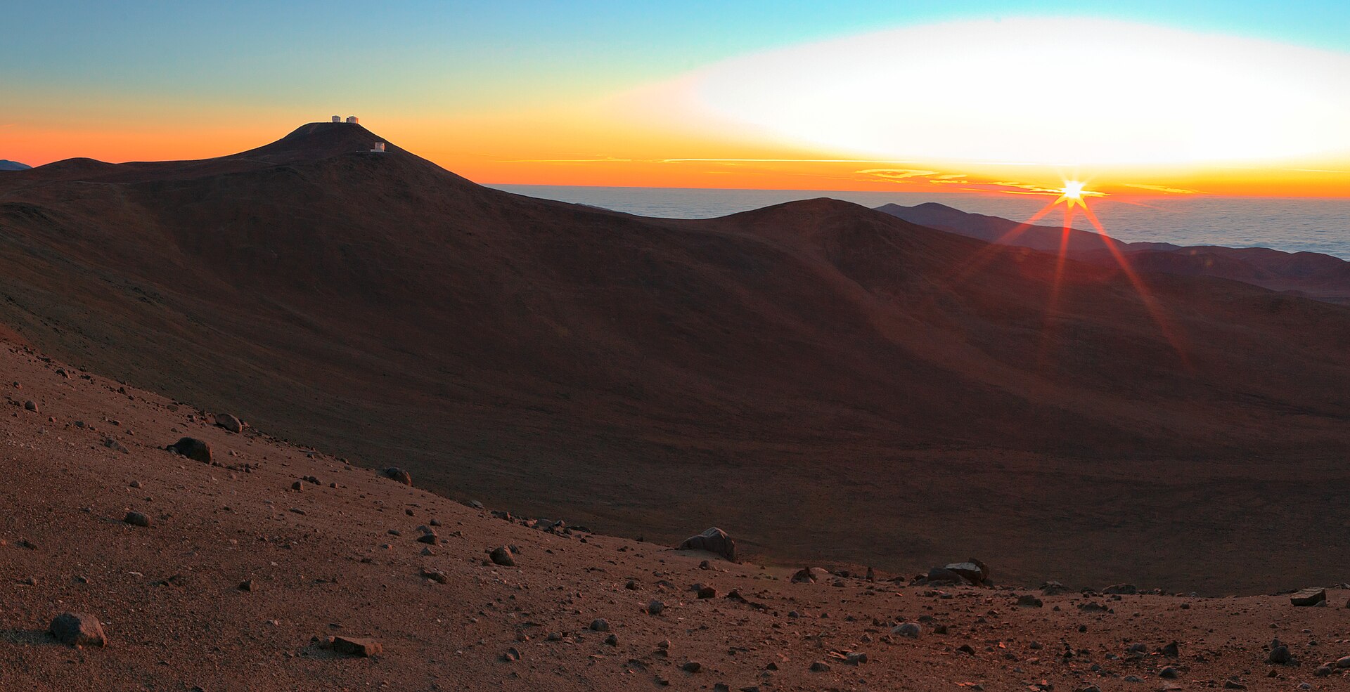 OXIT Launches Photography Competition on Nature Trips